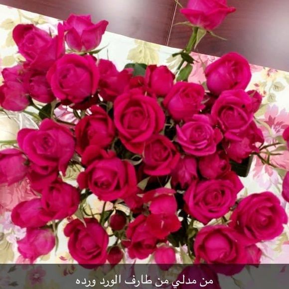 mafloka
